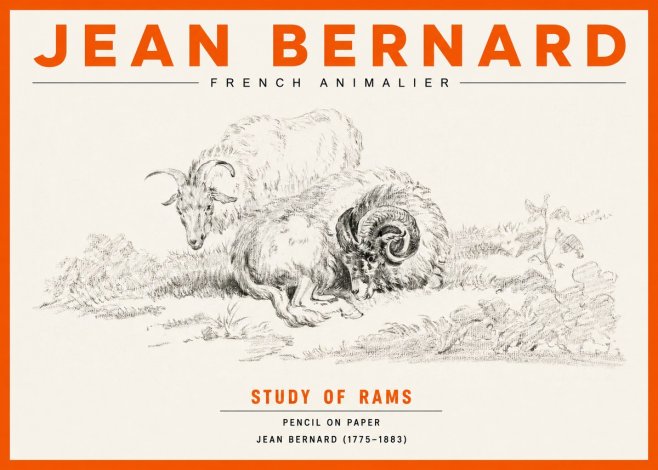 Jean Bernard Study of Sheep No3 - Plakat