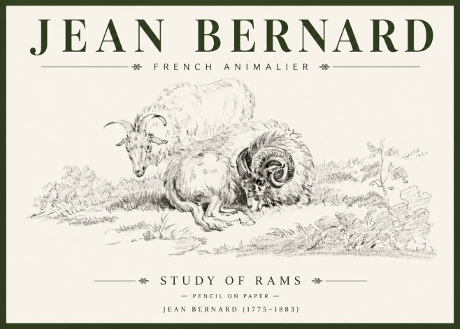 Jean Bernard Study of Sheep No6 - Plakat