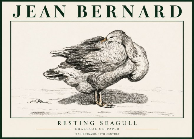 Jean Bernard Resting Seagull No3 - Plakat