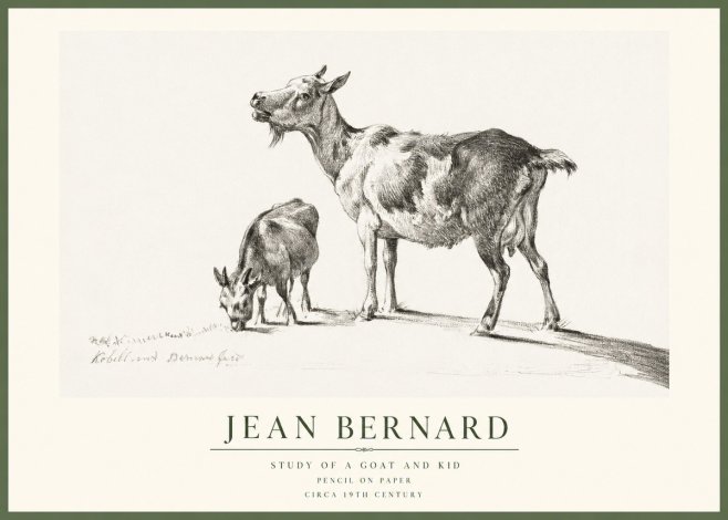 Jean Bernard Study of a Goat and Kid No1 - Plakat