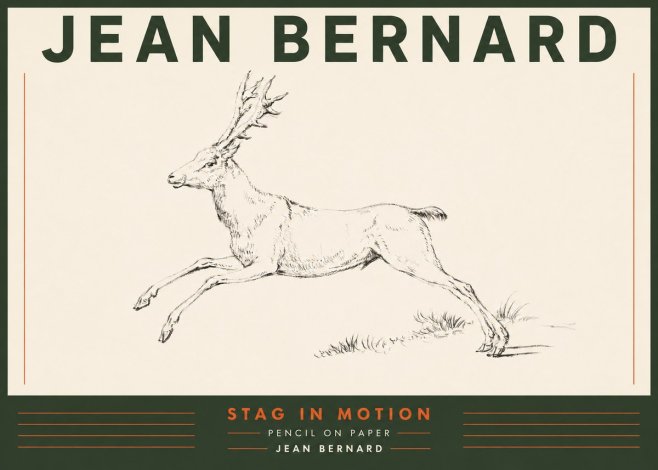 Jean Bernard Stag in Motion No4 - Plakat