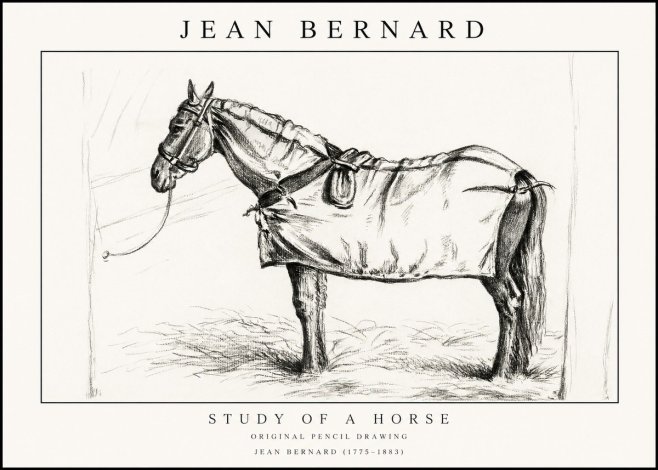 Jean Bernard Study of a Horse XI No1 - Plakat