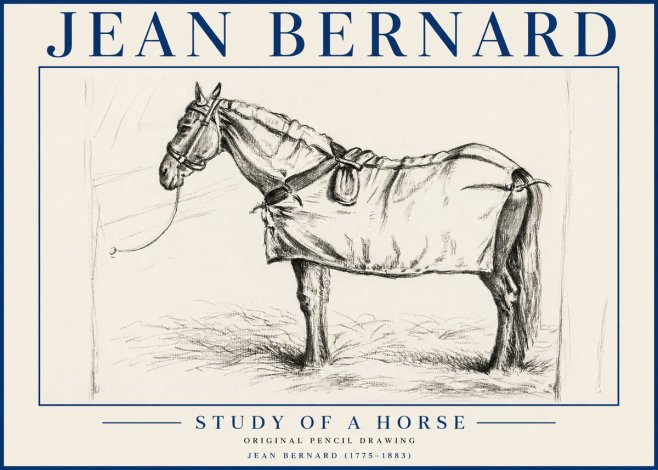 Jean Bernard Study of a Horse XI No5 - Plakat