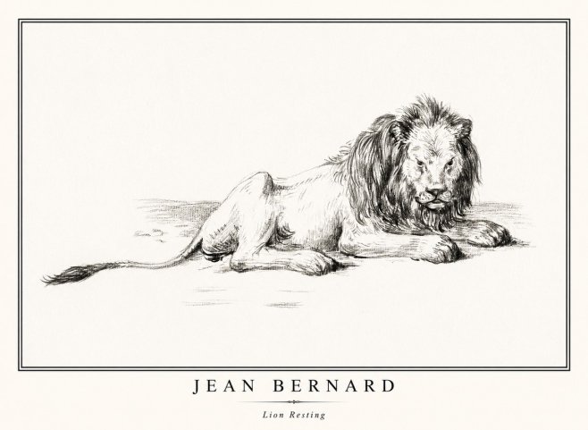 Jean Bernard Lion Resting No1 - Plakat