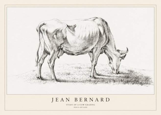 Jean Bernard Study of a Cow Grazing II No1 - Plakat