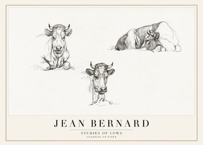Jean Bernard Studies of Cows II No1 - Plakat