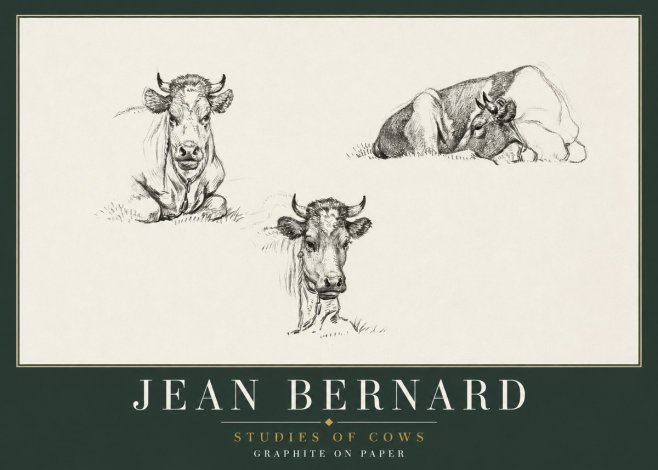 Jean Bernard Studies of Cows II No2 - Plakat