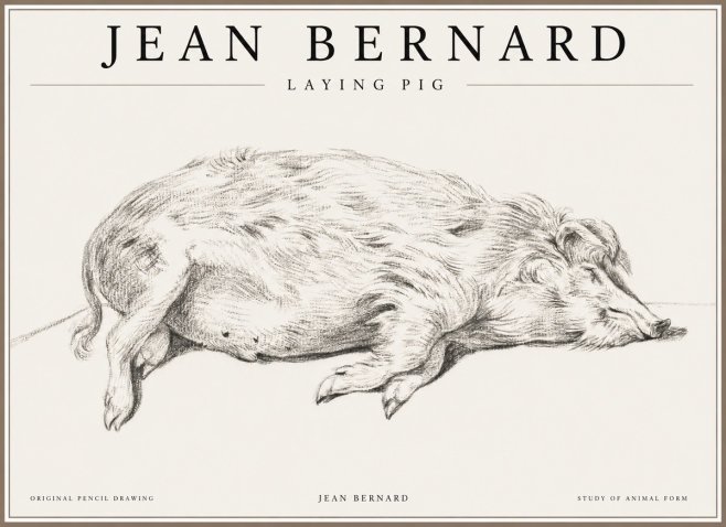 Jean Bernard Laying Pig No1 - Plakat