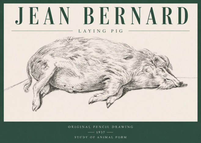 Jean Bernard Laying Pig No3 - Plakat