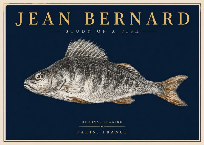 Jean Bernard Study of a Fish IV No6 - Plakat