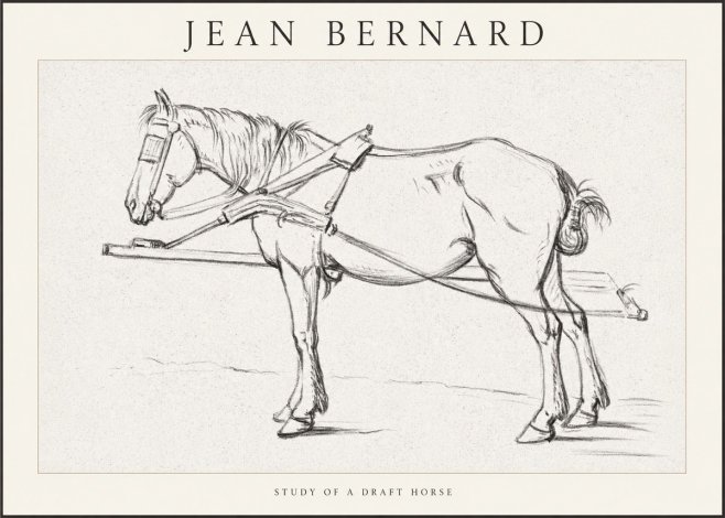 Jean Bernard Study of a Draft Horse II No1 - Plakat
