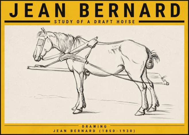 Jean Bernard Study of a Draft Horse II No5 - Plakat