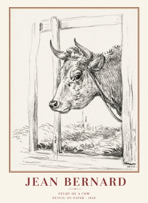 Jean Bernard Study of a Cow XVIII No1 - Plakat