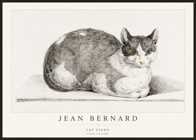 Jean Bernard Cat Study XI No2 - Plakat