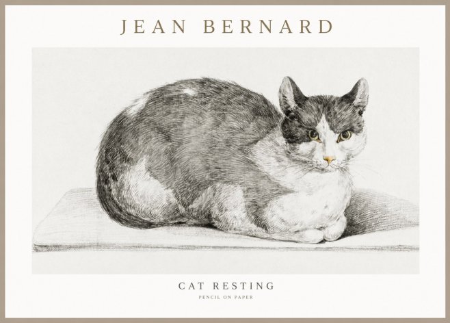 Jean Bernard Cat Study XI No3 - Plakat