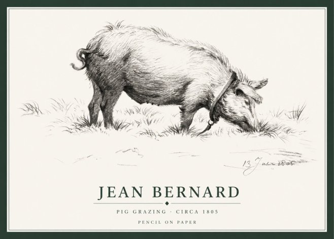 Jean Bernard Pig Grazing No1 - Plakat