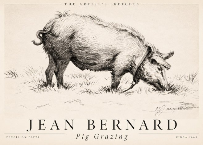 Jean Bernard Pig Grazing No2 - Plakat