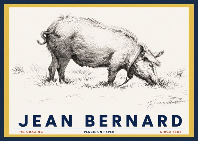 Jean Bernard Pig Grazing No3 - Plakat