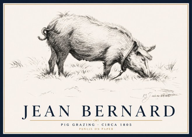 Jean Bernard Pig Grazing No5 - Plakat