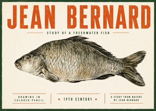 Jean Bernard Study of a Freshwater Fish No5 - Plakat