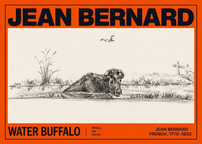Jean Bernard Study of a Water Buffalo No3 - Plakat