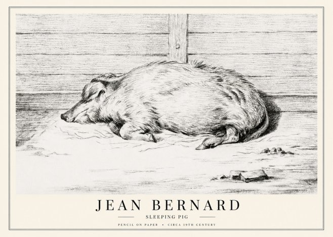 Jean Bernard Sleeping Pig I No1 - Plakat