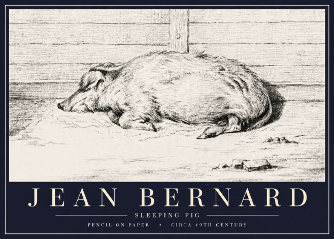 Jean Bernard Sleeping Pig I No6 - Plakat