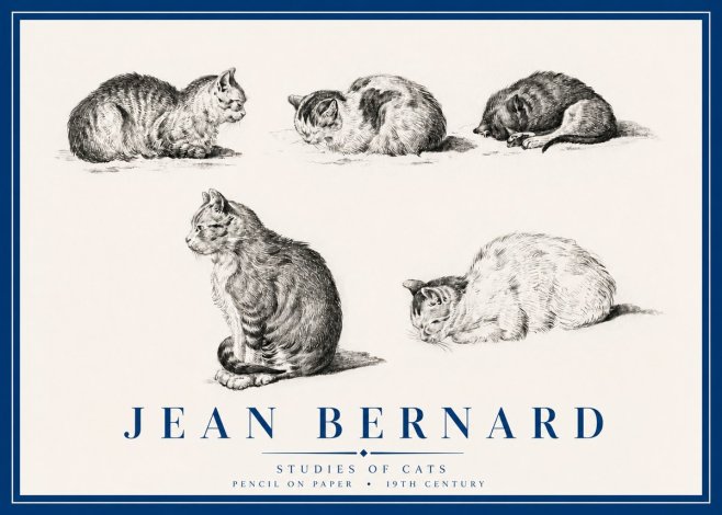 Jean Bernard Studies of Cats No3 - Plakat
