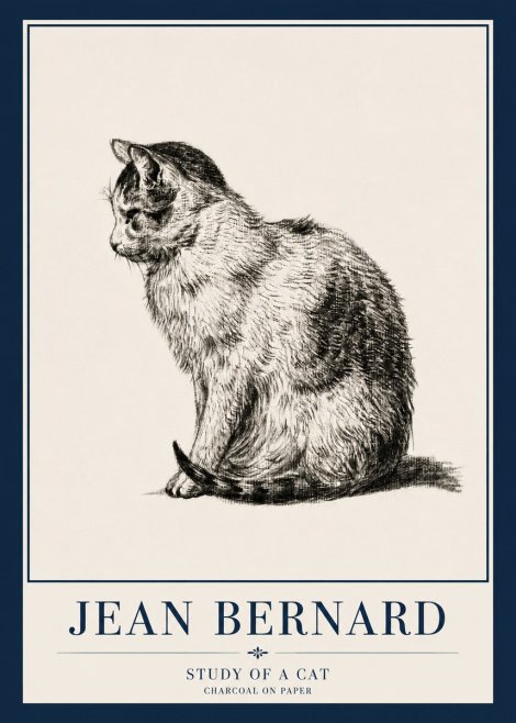 Jean Bernard Study of a Cat IV No3 - Plakat