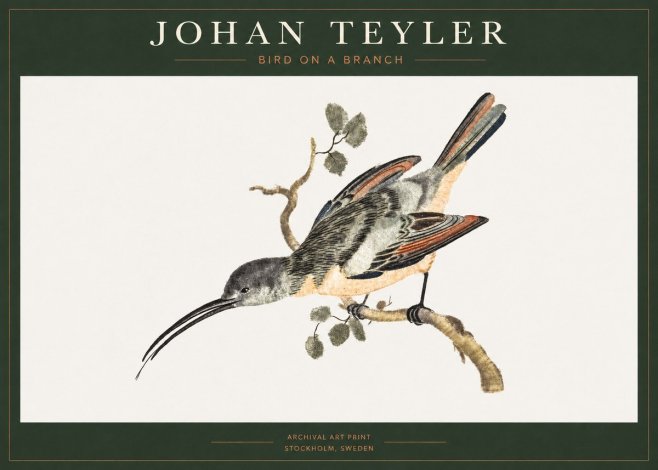Johan Teyler Bird on a Branch No1 - Plakat