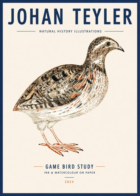 Johan Teyler Game Bird Study No3 - Plakat