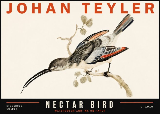 Johan Teyler Nectar Bird No6 - Plakat