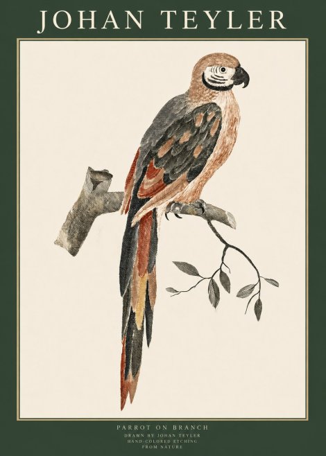 Johan Teyler Parrot on Branch No1 - Plakat