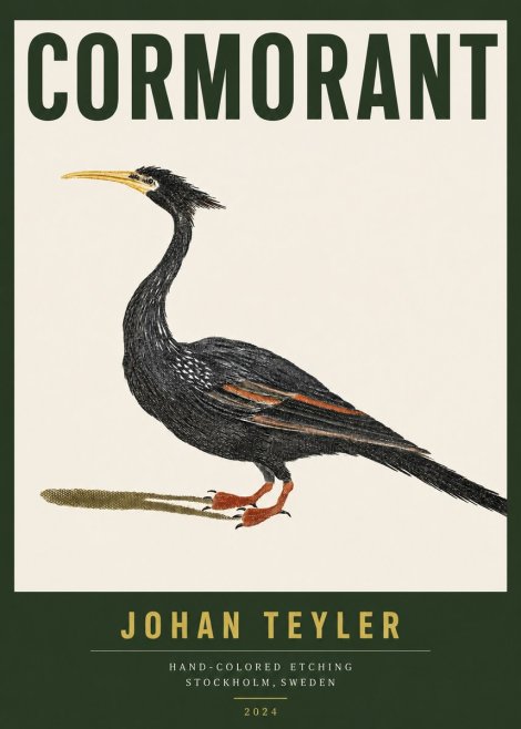 Johan Teyler Cormorant No3 - Plakat