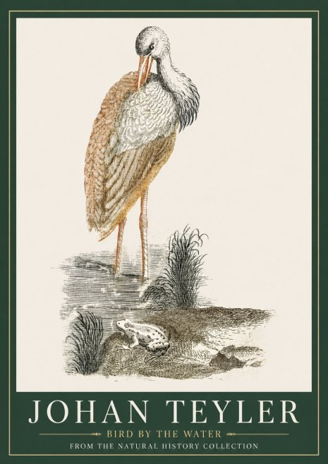 Johan Teyler Bird by the Water No3 - Plakat