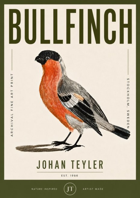 Johan Teyler Bullfinch No5 - Plakat