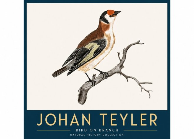 Johan Teyler Song of the Finch No4 - Plakat