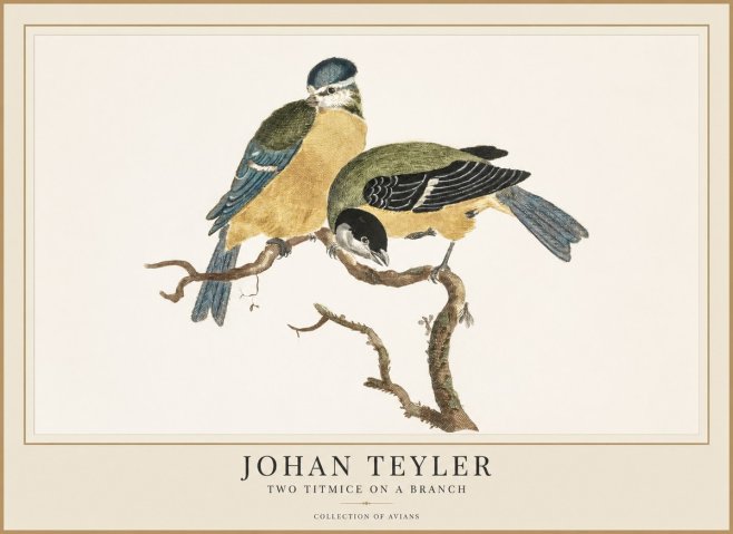 Johan Teyler Two Titmice on a Branch No1 - Plakat