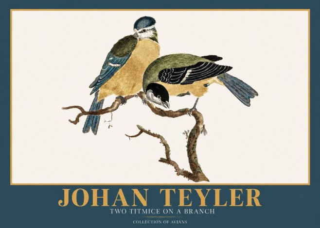 Johan Teyler Two Titmice on a Branch No2 - Plakat