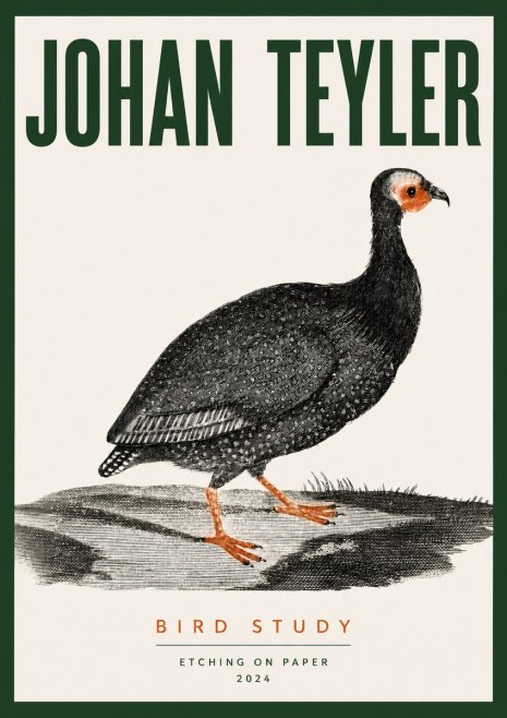 Johan Teyler Bird Study III No3 - Plakat