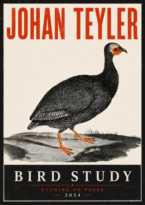 Johan Teyler Bird Study III No6 - Plakat