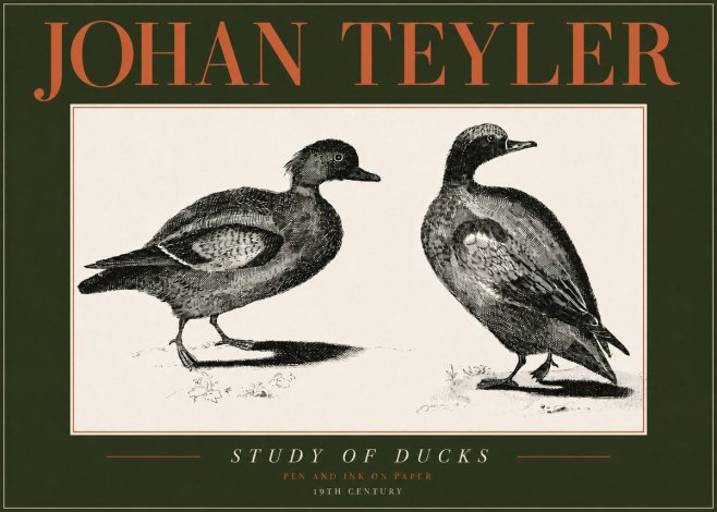 Johan Teyler Study of Ducks No4 - Plakat