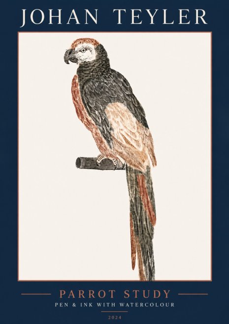 Johan Teyler Parrot Study II No5 - Plakat