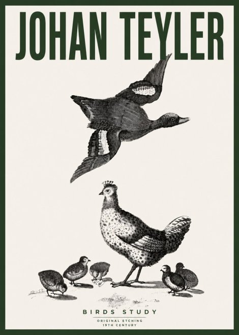 Johan Teyler Birds Study No4 - Plakat