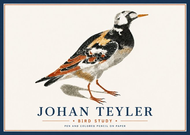 Johan Teyler Bird Study IV No6 - Plakat