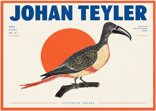 Johan Teyler Bird Study No. 12 - Original Drawing No2 - Plakat