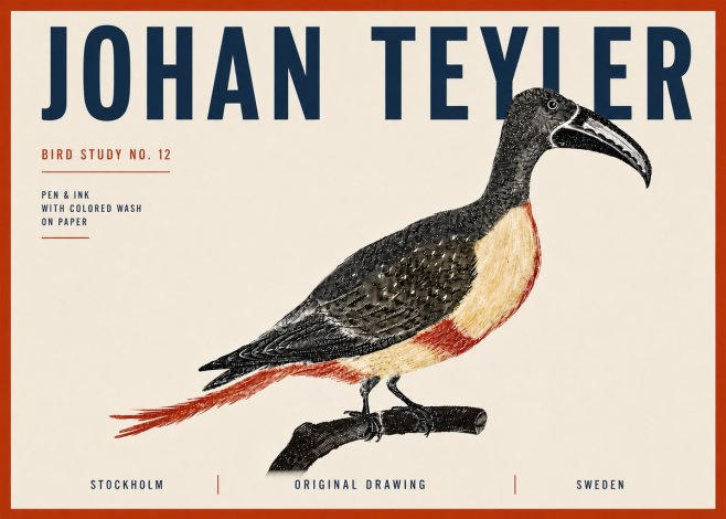 Johan Teyler Bird Study No. 12 - Original Drawing No6 - Plakat