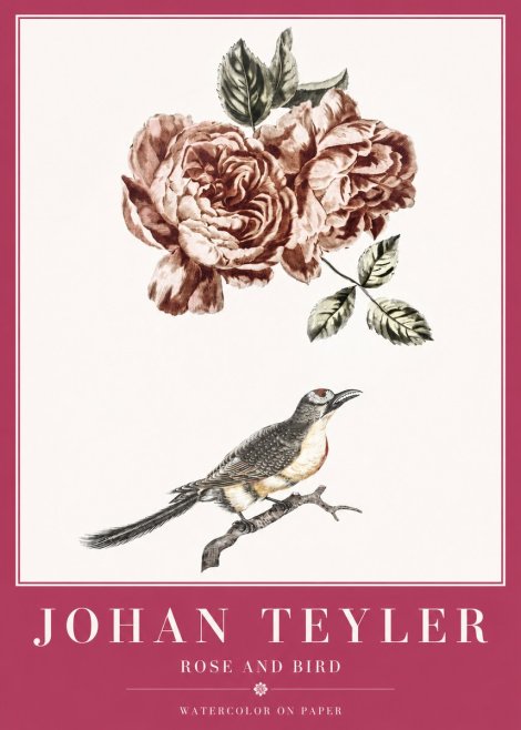 Johan Teyler Rose and Bird II No2 - Plakat
