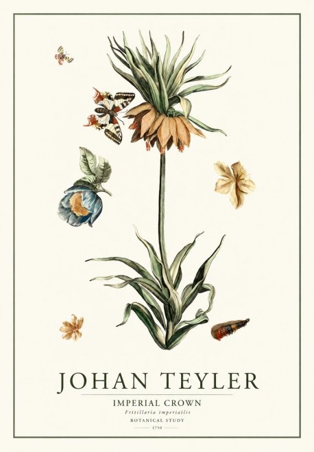 Johan Teyler Crown Imperial No2 - Plakat