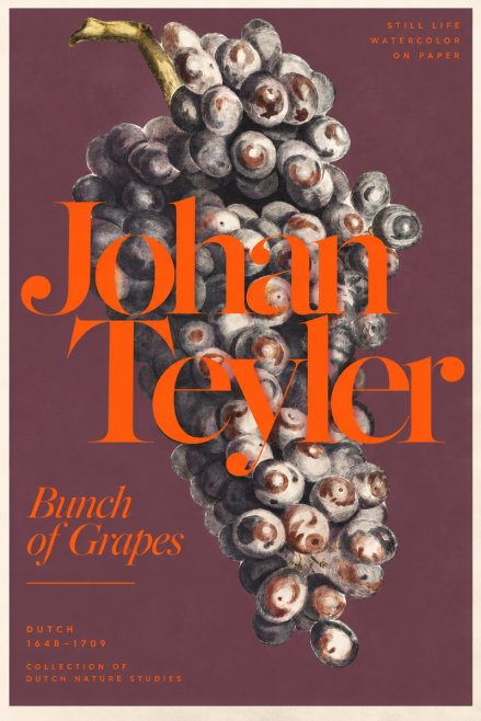 Johan Teyler Bunch of Grapes No3 - Plakat